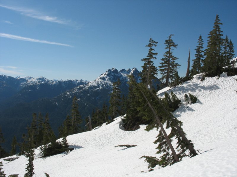img_4588.jpg