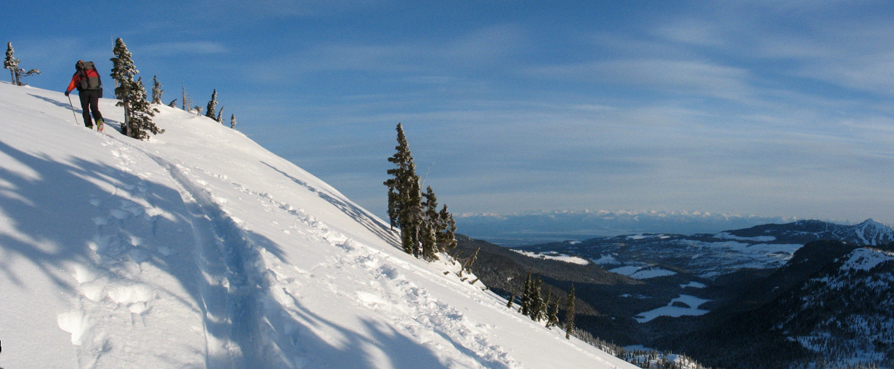 img_3476p.jpg