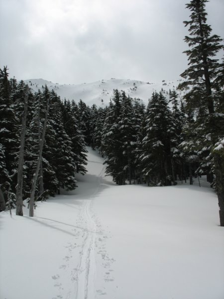 img_7515.jpg