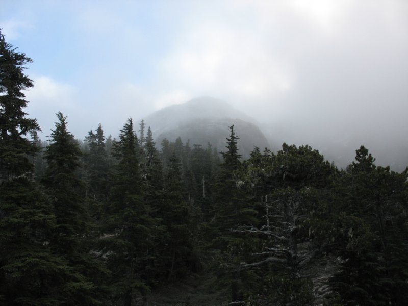 img_6675.jpg