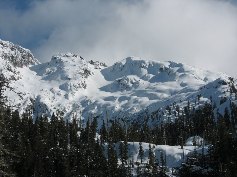 img_7232.jpg