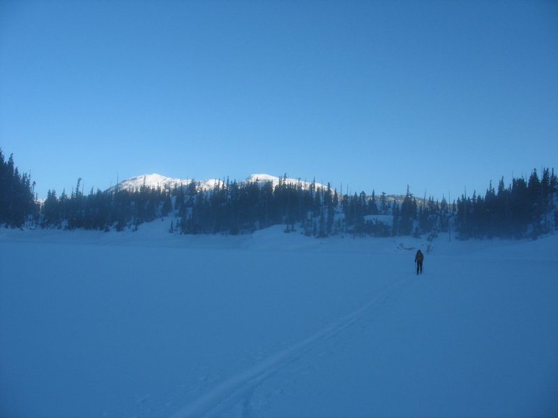 img_7311.jpg