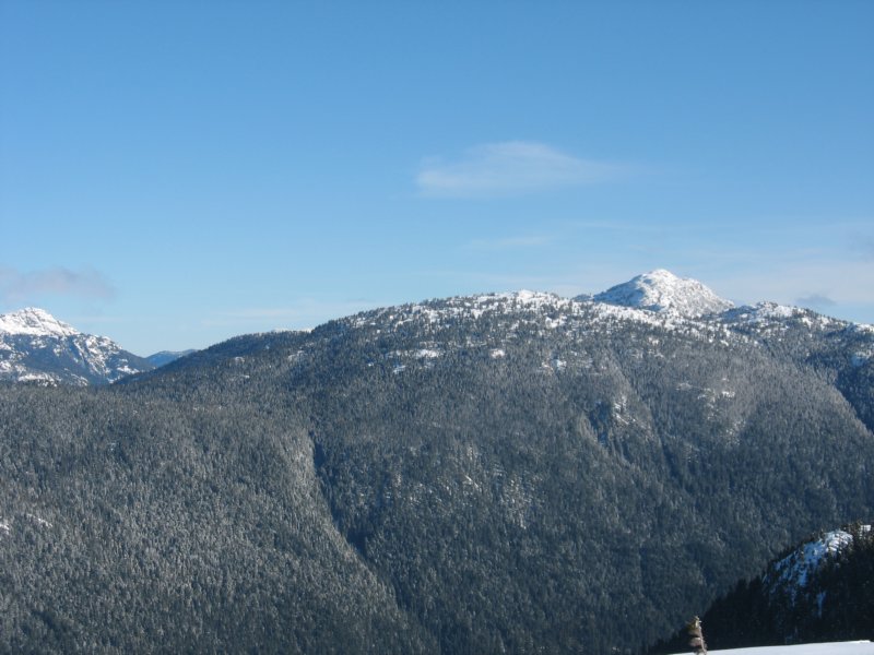 img_7334.jpg
