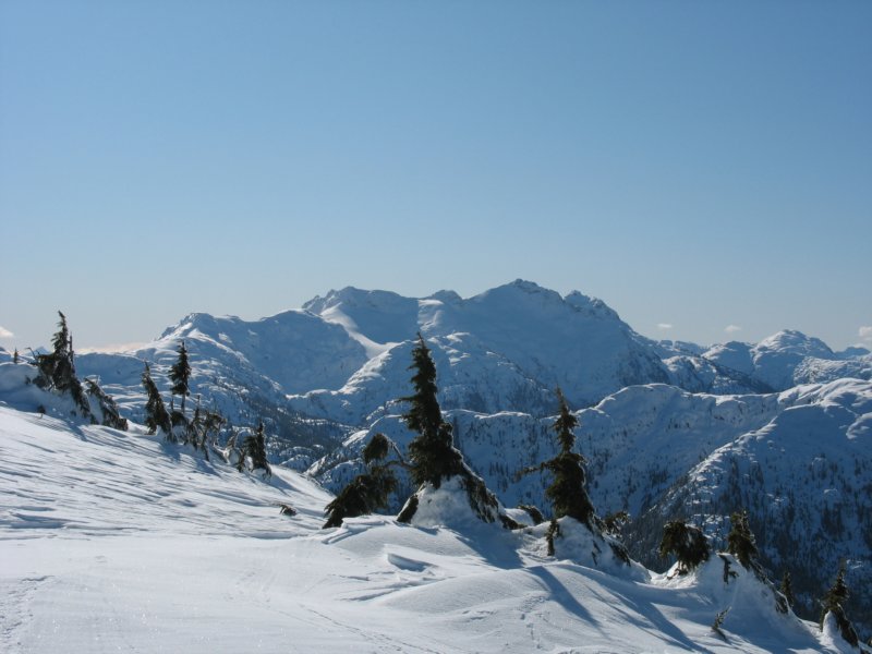 img_7350.jpg