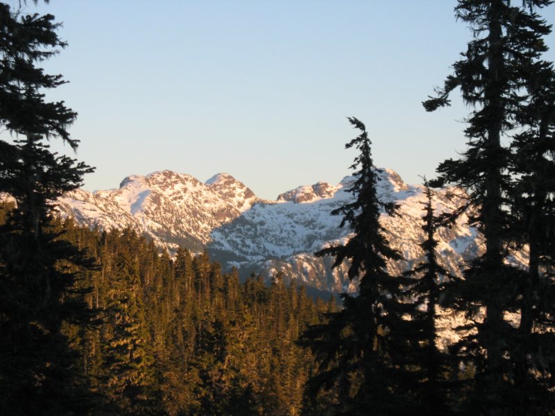 img_6870.jpg