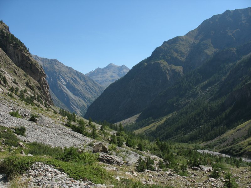 img_6220.jpg