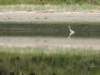 img_5179_small.jpg