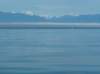 img_5184_small.jpg