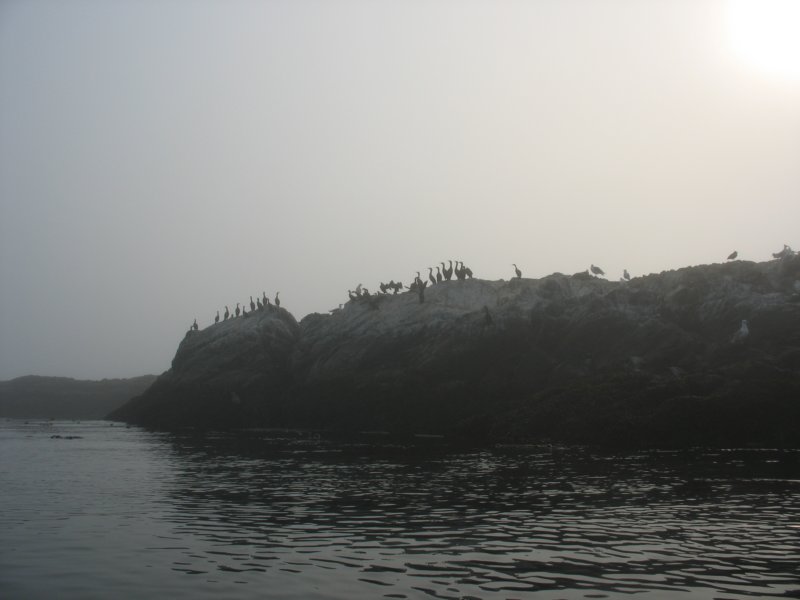 img_9064.jpg