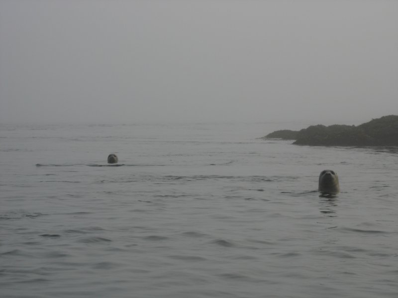 img_9069.jpg