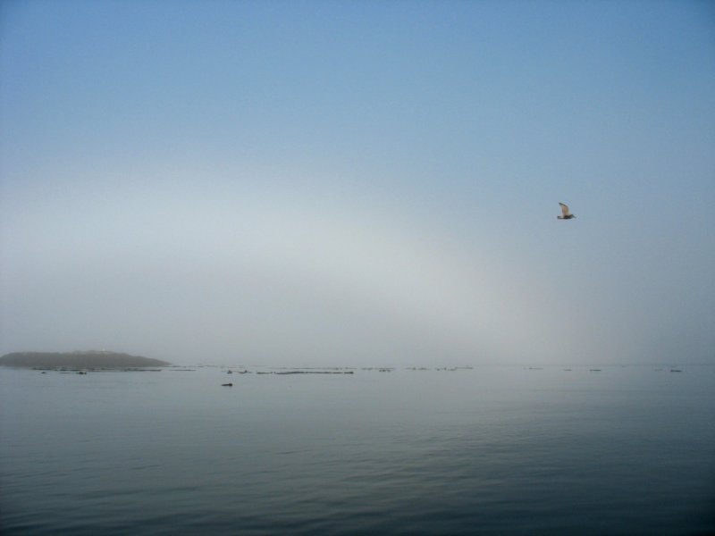 img_9081.jpg