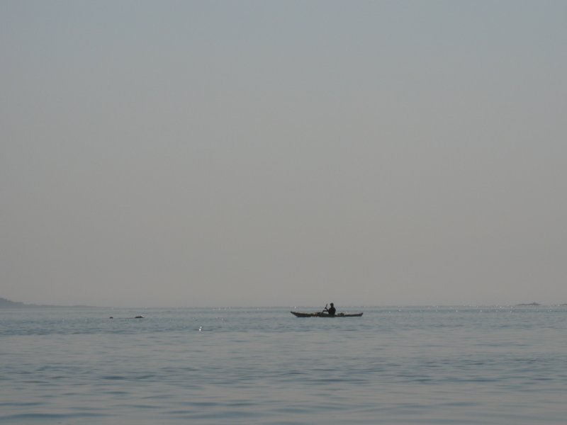 img_9124.jpg