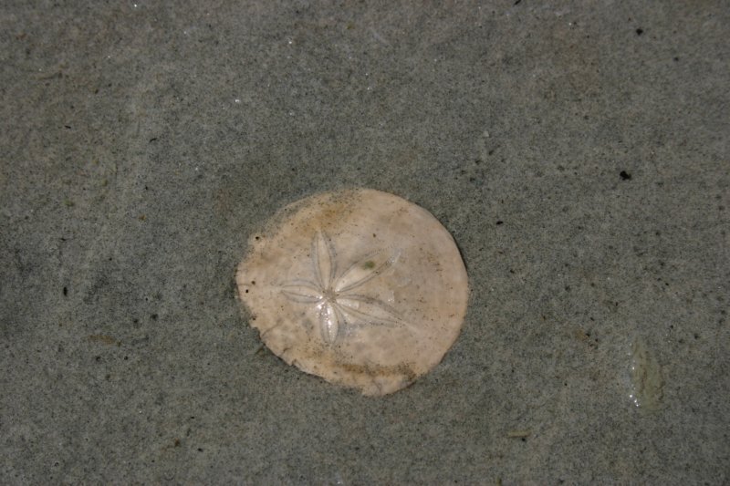 img_6834.jpg