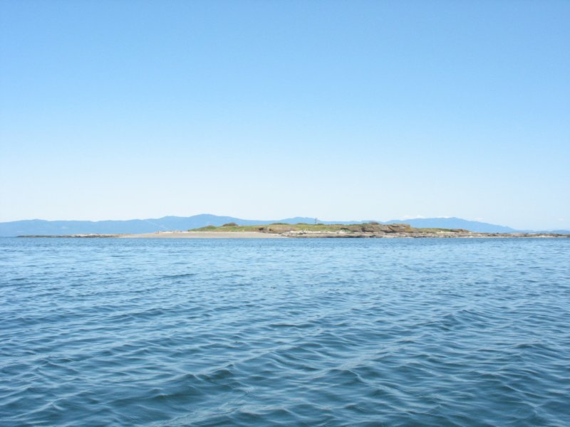 img_7675.jpg