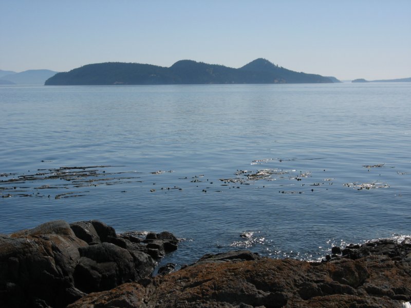 img_9275.jpg