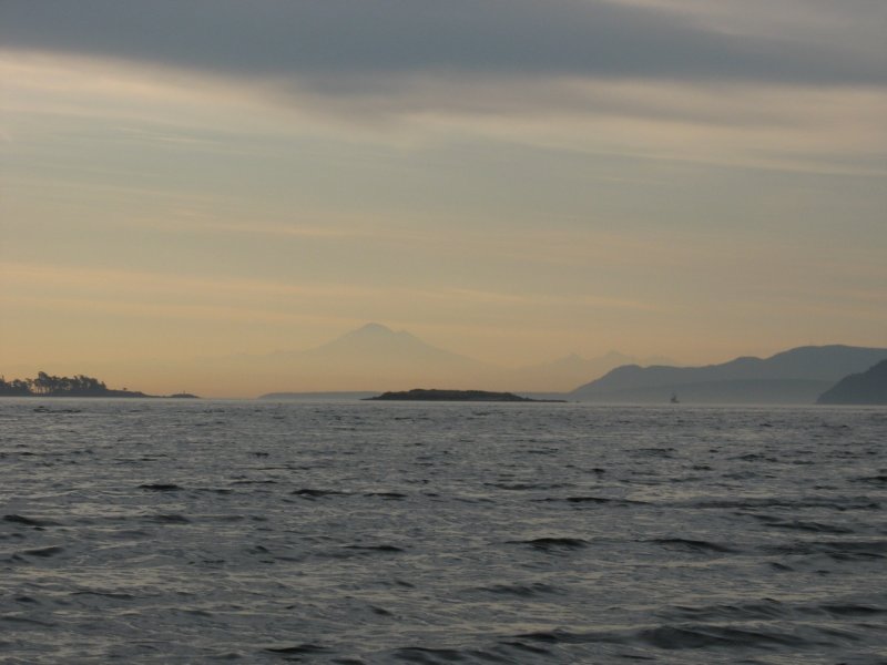 img_8161.jpg