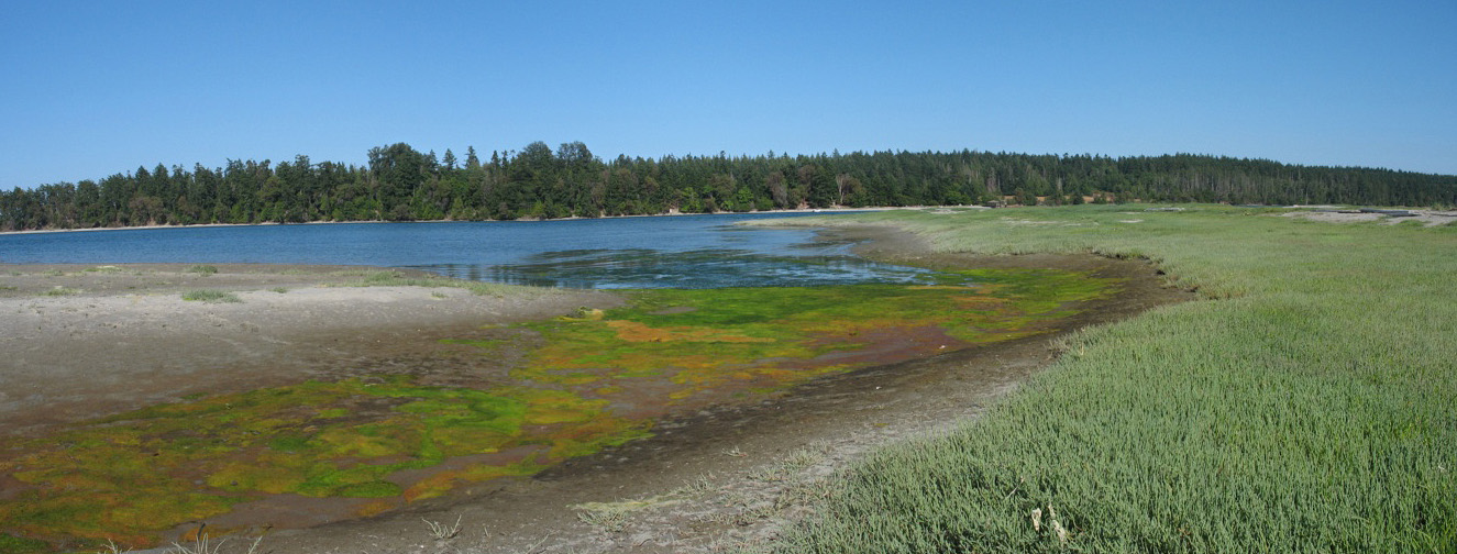 img_5330pano.jpg