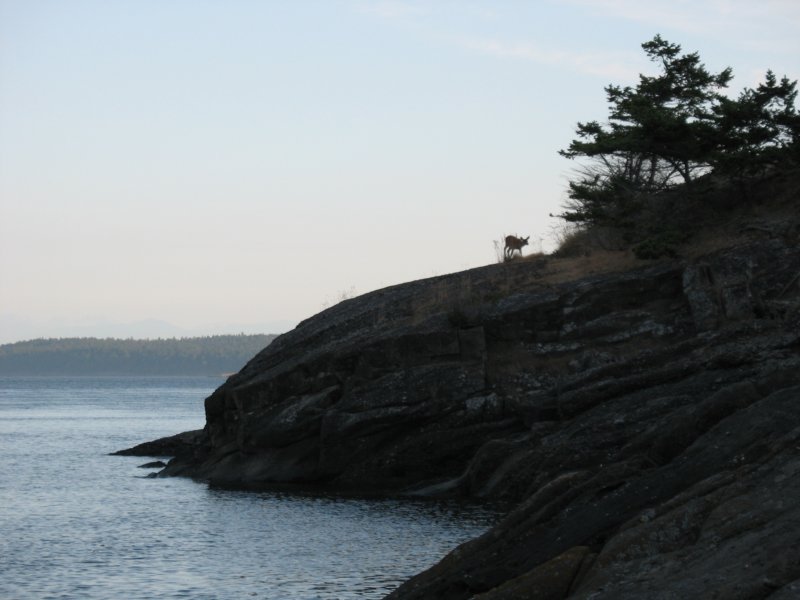 img_5378.jpg