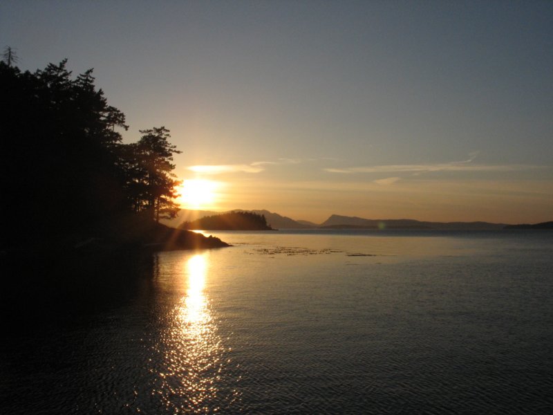 img_5390.jpg